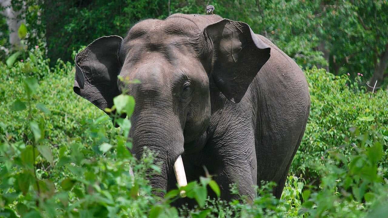 KERALA