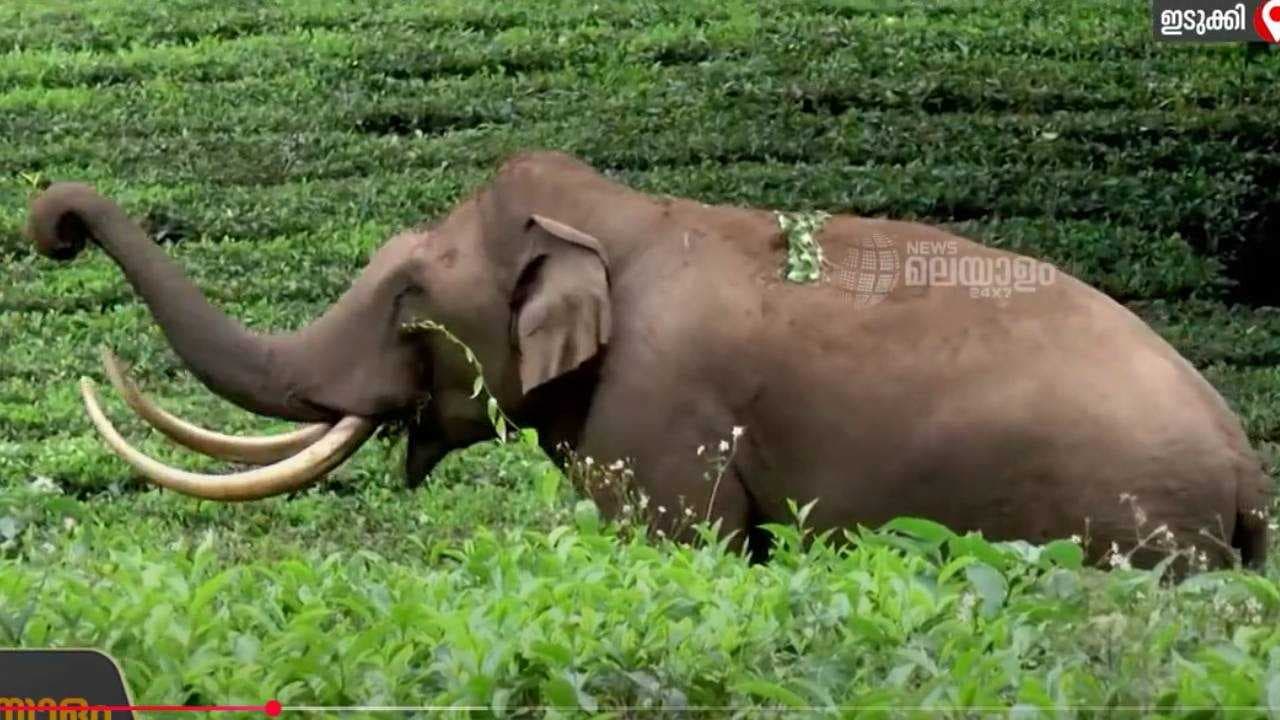 KERALA