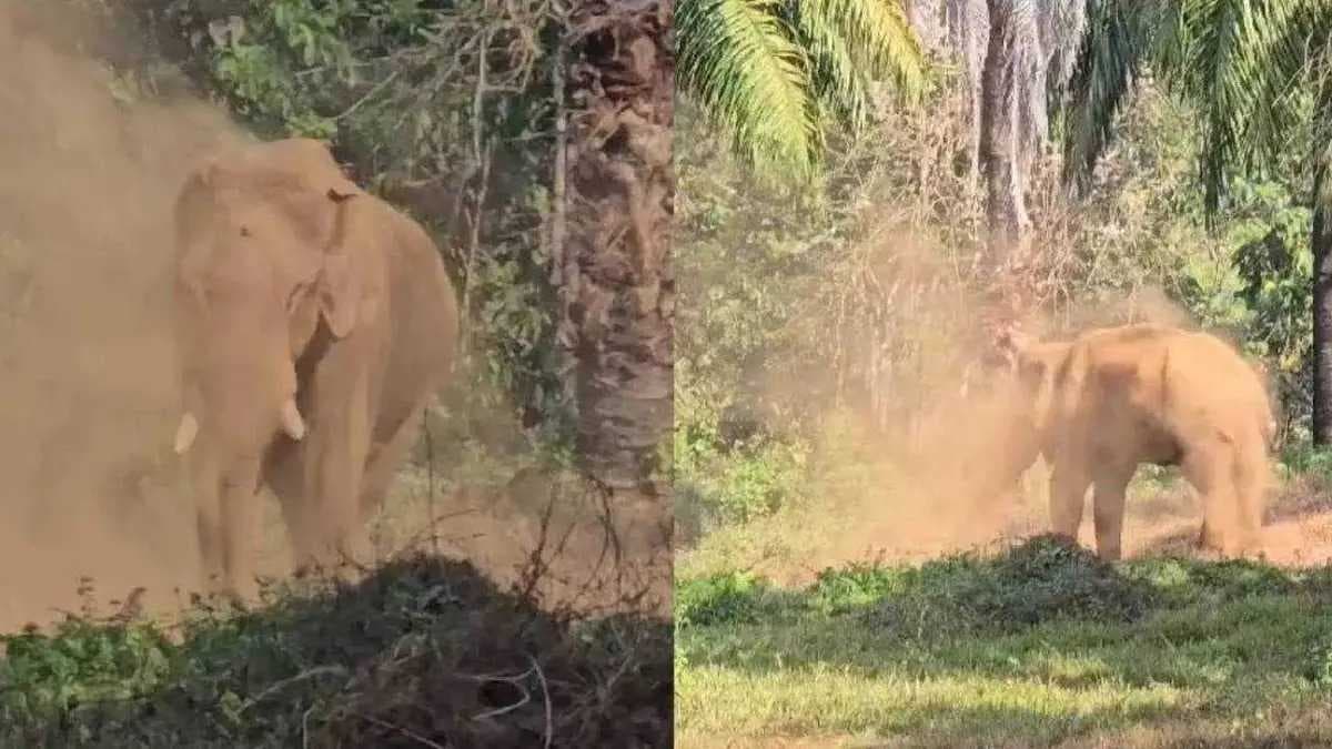 KERALA